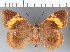 ( - CFC34827)  @11 [ ] copyright (2024) Center For Collection-Based Research Center For Collection-Based Research
