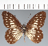  ( - CFCD02766)  @11 [ ] copyright (2023) Center For Collection-Based Research Center For Collection-Based Research