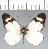  ( - CFCD02774)  @11 [ ] copyright (2023) Center For Collection-Based Research Center For Collection-Based Research