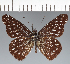 ( - CFCD02781)  @11 [ ] copyright (2023) Center For Collection-Based Research Center For Collection-Based Research