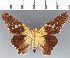  ( - CFCD03324)  @11 [ ] copyright (2023) Center For Collection-Based Research Center For Collection-Based Research