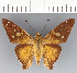  ( - CFCD03328)  @11 [ ] copyright (2023) Center For Collection-Based Research Center For Collection-Based Research