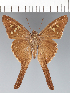  ( - CFCD03331)  @11 [ ] copyright (2023) Center For Collection-Based Research Center For Collection-Based Research