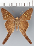  ( - CFCD03332)  @11 [ ] copyright (2023) Center For Collection-Based Research Center For Collection-Based Research