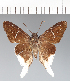  ( - CFCD03356)  @11 [ ] copyright (2023) Center For Collection-Based Research Center For Collection-Based Research