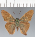  ( - CFCD03370)  @11 [ ] copyright (2023) Center For Collection-Based Research Center For Collection-Based Research