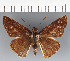  ( - CFCD03373)  @11 [ ] copyright (2023) Center For Collection-Based Research Center For Collection-Based Research