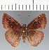  ( - CFCD03411)  @11 [ ] copyright (2023) Center For Collection-Based Research Center For Collection-Based Research