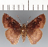  ( - CFCD03412)  @11 [ ] copyright (2023) Center For Collection-Based Research Center For Collection-Based Research