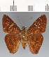  ( - CFCD03415)  @11 [ ] copyright (2023) Center For Collection-Based Research Center For Collection-Based Research