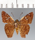  ( - CFCD03416)  @11 [ ] copyright (2023) Center For Collection-Based Research Center For Collection-Based Research