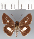  ( - CFCD03451)  @11 [ ] copyright (2023) Center For Collection-Based Research Center For Collection-Based Research