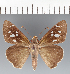  ( - CFCD03459)  @11 [ ] copyright (2023) Center For Collection-Based Research Center For Collection-Based Research