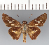  ( - CFCD03460)  @11 [ ] copyright (2023) Center For Collection-Based Research Center For Collection-Based Research
