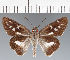  ( - CFCD03530)  @11 [ ] copyright (2023) Center For Collection-Based Research Center For Collection-Based Research