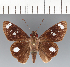  ( - CFCD03531)  @11 [ ] copyright (2023) Center For Collection-Based Research Center For Collection-Based Research