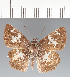  ( - CFCD03636)  @11 [ ] copyright (2023) Center For Collection-Based Research Center For Collection-Based Research