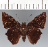  ( - CFCD03681)  @11 [ ] copyright (2023) Center For Collection-Based Research Center For Collection-Based Research