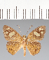  ( - CFCD03711)  @11 [ ] copyright (2023) Center For Collection-Based Research Center For Collection-Based Research