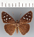  ( - CFCD03738)  @11 [ ] copyright (2023) Center For Collection-Based Research Center For Collection-Based Research