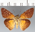  ( - CFCD03740)  @11 [ ] copyright (2023) Center For Collection-Based Research Center For Collection-Based Research