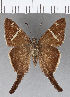  ( - CFCD01015)  @13 [ ] Copyright (2018) Christer Fahraeus Center For Collection-Based Research