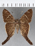  ( - CFCD01045)  @11 [ ] Copyright (2018) Christer Fahraeus Center For Collection-Based Research