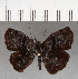  ( - CFCD01056)  @11 [ ] Copyright (2018) Christer Fahraeus Center For Collection-Based Research