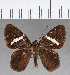  ( - CFCD01068)  @13 [ ] Copyright (2018) Christer Fahraeus Center For Collection-Based Research