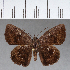  ( - CFCD01075)  @14 [ ] Copyright (2018) Christer Fahraeus Center For Collection-Based Research