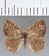  ( - CFCD01079)  @11 [ ] Copyright (2019) Christer Fahraeus Center For Collection-Based Research