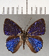 ( - CFCD01082)  @11 [ ] Copyright (2019) Christer Fahraeus Center For Collection-Based Research