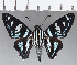  ( - CFCD01088)  @11 [ ] Copyright (2019) Christer Fahraeus Center For Collection-Based Research
