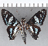  ( - CFCD01089)  @11 [ ] Copyright (2019) Christer Fahraeus Center For Collection-Based Research