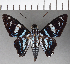  ( - CFCD01092)  @11 [ ] Copyright (2019) Christer Fahraeus Center For Collection-Based Research