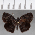  ( - CFCD01109)  @11 [ ] Copyright (2019) Christer Fahraeus Center For Collection-Based Research