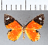  ( - CFCD00114)  @11 [ ] Copyright (2018) Christer Fahraeus Center For Collection-Based Research