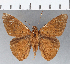  ( - CFCD01156)  @11 [ ] Copyright (2019) Christer Fahraeus Center For Collection-Based Research