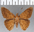  ( - CFCD01157)  @11 [ ] Copyright (2019) Christer Fahraeus Center For Collection-Based Research
