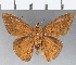  ( - CFCD01158)  @11 [ ] Copyright (2019) Christer Fahraeus Center For Collection-Based Research