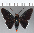  ( - CFCD01168)  @11 [ ] Copyright (2019) Christer Fahraeus Center For Collection-Based Research