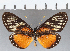  ( - CFCD01180)  @13 [ ] Copyright (2019) Christer Fahraeus Center For Collection-Based Research