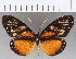  ( - CFCD01181)  @13 [ ] Copyright (2019) Christer Fahraeus Center For Collection-Based Research
