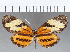  ( - CFCD01186)  @11 [ ] Copyright (2019) Christer Fahraeus Center For Collection-Based Research