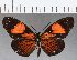  ( - CFCD01190)  @11 [ ] Copyright (2019) Christer Fahraeus Center For Collection-Based Research
