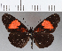  ( - CFCD01191)  @11 [ ] Copyright (2019) Christer Fahraeus Center For Collection-Based Research