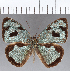  ( - CFCD01199)  @11 [ ] Copyright (2019) Christer Fahraeus Center For Collection-Based Research