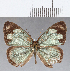  ( - CFCD01211)  @11 [ ] Copyright (2019) Christer Fahraeus Center For Collection-Based Research