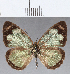  ( - CFCD01212)  @11 [ ] Copyright (2019) Christer Fahraeus Center For Collection-Based Research