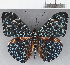  ( - CFCD01219)  @11 [ ] Copyright (2019) Christer Fahraeus Center For Collection-Based Research